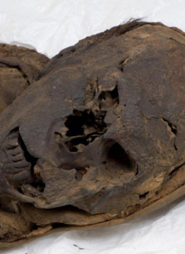 Две южноамериканские мумии оказались жертвами убийств