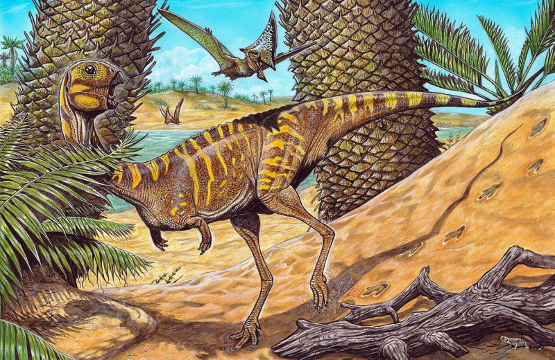 В Бразилии нашли останки очень редкого беззубого динозавра