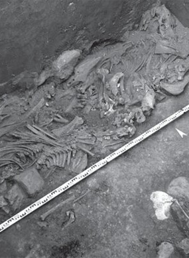 Барнаульский археолог описал парное погребение в кургане пазырыкской региональной элиты