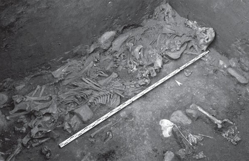 Барнаульский археолог описал парное погребение в кургане пазырыкской региональной элиты