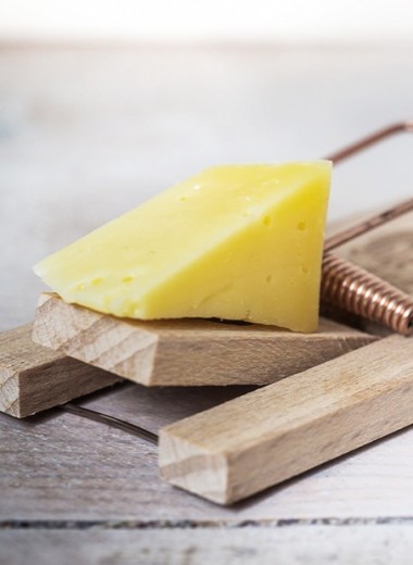 Сыр и еще 5 продуктов, вызывающих почти наркотическую зависимость
