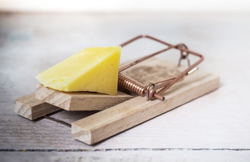 Сыр и еще 5 продуктов, вызывающих почти наркотическую зависимость