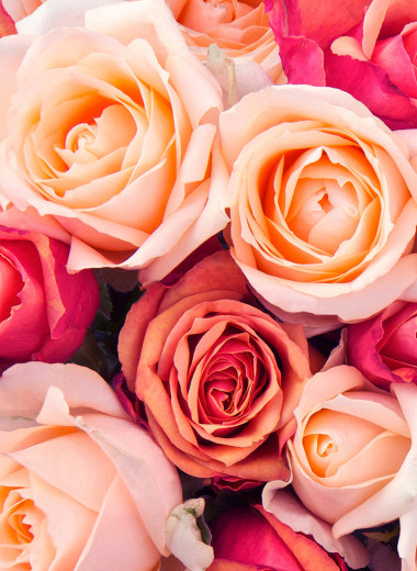 Секреты флористов: как сохранить розы в букете дольше