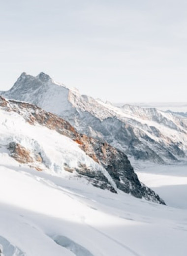 Кровь, зомби и микропластик: 5 неожиданных находок под снегом