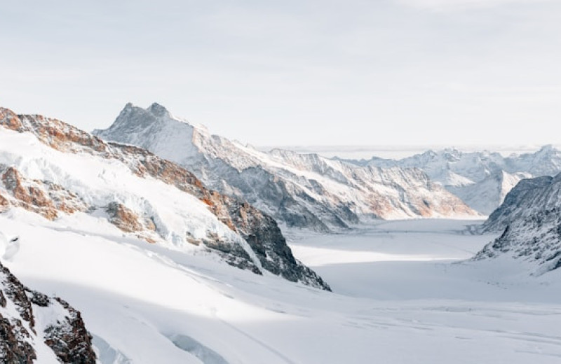 Кровь, зомби и микропластик: 5 неожиданных находок под снегом