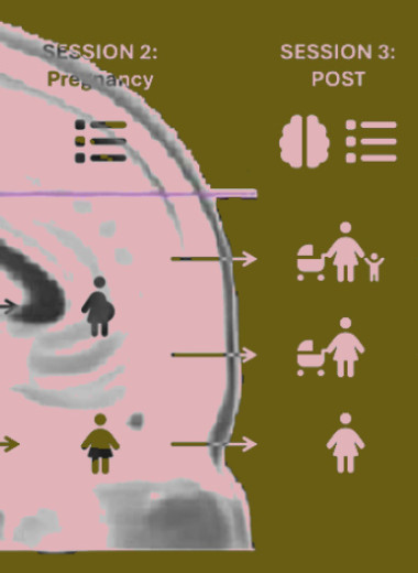 Вторая беременность повлияла на активность сети пассивной работы мозга