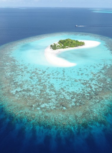 Коралловые острова вырастут в ответ на повышение уровня мирового океана