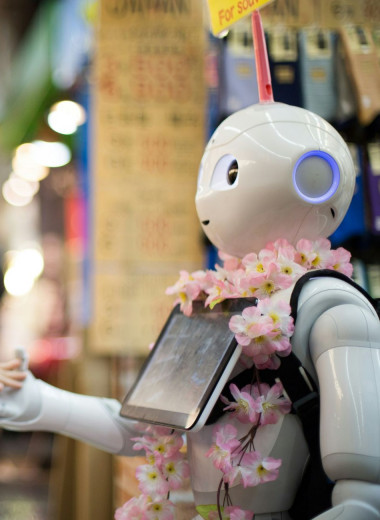 Робототехника и ее роль в современном мире. Что это, области применения и направления