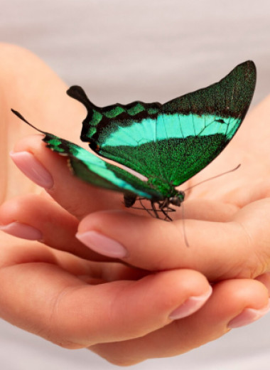 Почему порой мы ощущаем «бабочек в животе» и что на самом деле означает это чувство?