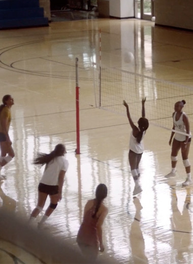 В США создали женский профессиональный волейбол: на проект уже привлекли $60 млн