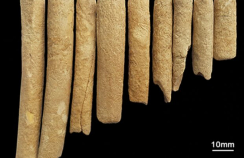 Шаманскую многоствольную флейту бронзового века назвали кугиклами