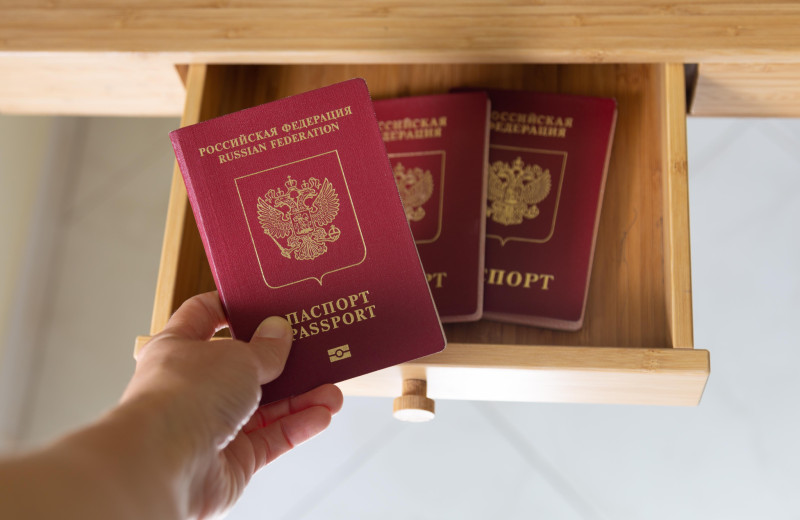 Как за 5 минут проверить, выдадут ли вам загранпаспорт