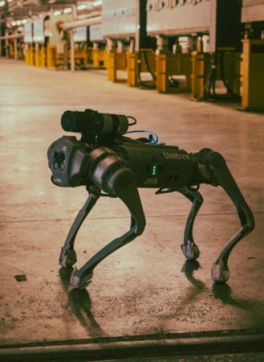 CERN разрабатывает роботов-собак для работы в подземных лабиринтах Большого адронного коллайдера