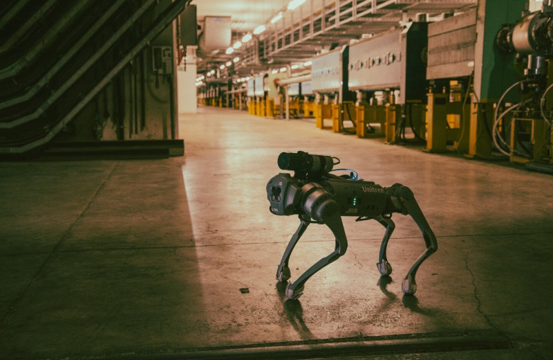 CERN разрабатывает роботов-собак для работы в подземных лабиринтах Большого адронного коллайдера