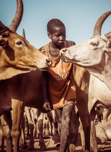 Спят на коровах и не расстаются с автоматами: как живет племя мундари в Южном Судане