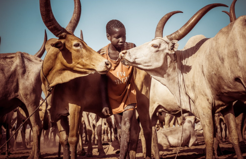 Спят на коровах и не расстаются с автоматами: как живет племя мундари в Южном Судане
