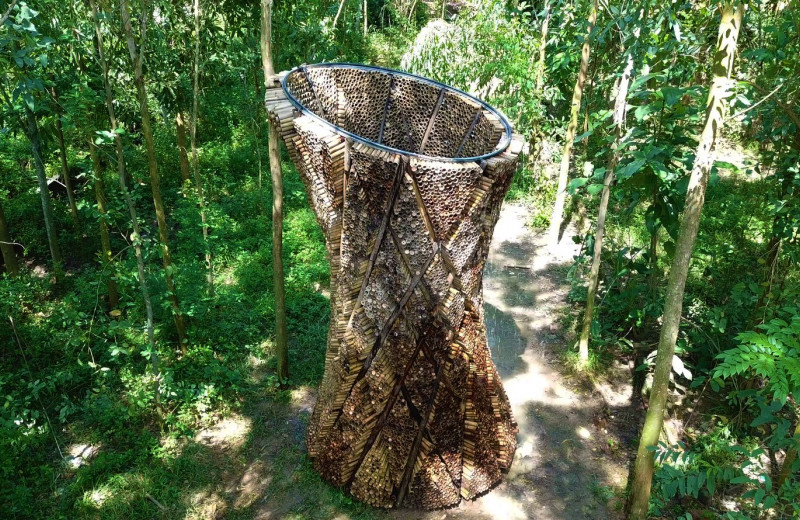 Башни из бамбука могут заменить кондиционеры. Как это работает?