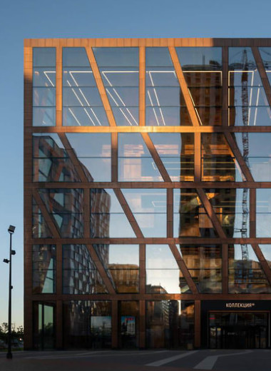 Дом стареющей меди