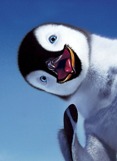 20 любопытных фактов о пингвинах: жизнь в смокинге