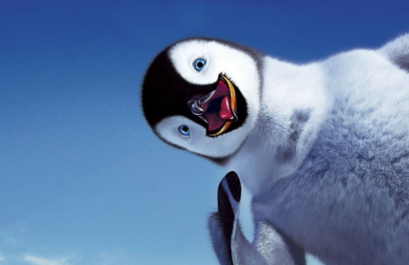 20 любопытных фактов о пингвинах: жизнь в смокинге