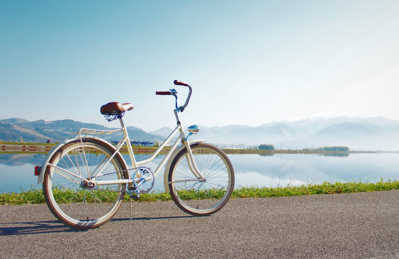 Больше, чем транспорт: как велосипед превратился в идейный символ