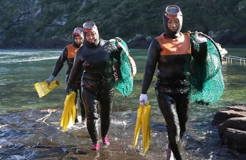 Женщины-фридайверы из Южной Кореи адаптировались для жизни под водой