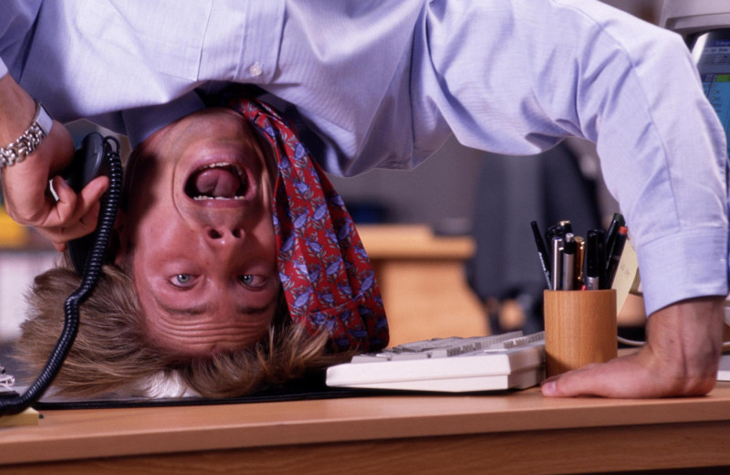 Есть 4 реакции на стресс — какая из них ваша коронная?