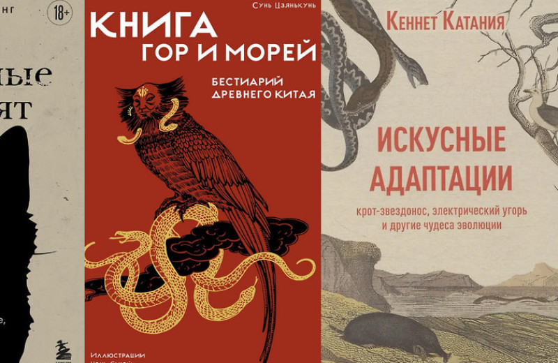 Зачем приходит белая змея