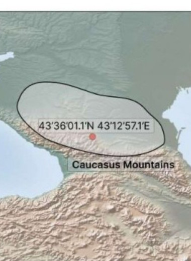 Древняя аланская девочка пострадала от свиной рожи