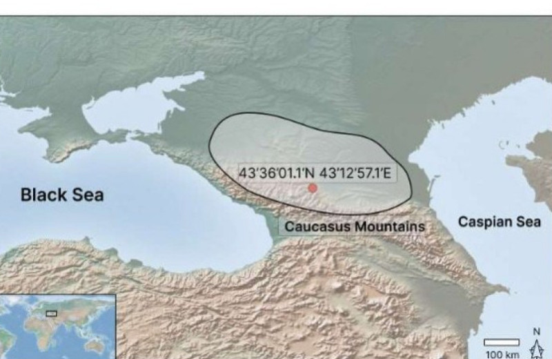 Древняя аланская девочка пострадала от свиной рожи