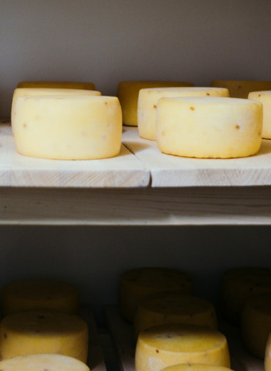 Сыр с одной шутки: история семейной сыроварни «Папа-сыровар»