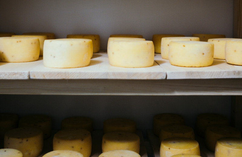 Сыр с одной шутки: история семейной сыроварни «Папа-сыровар»
