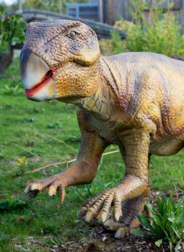 Шрамы украшают динозавров: палеонтологи рассмотрели у древних ящеров пупок