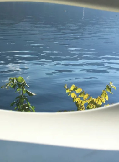 «Не я воспитывала наблюдательность, а она меня»