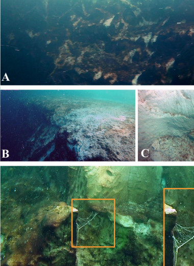 Другая вода и почти нет кислорода: чем манит ученых «голубая дыра» глубиной 274 м на дне океана?