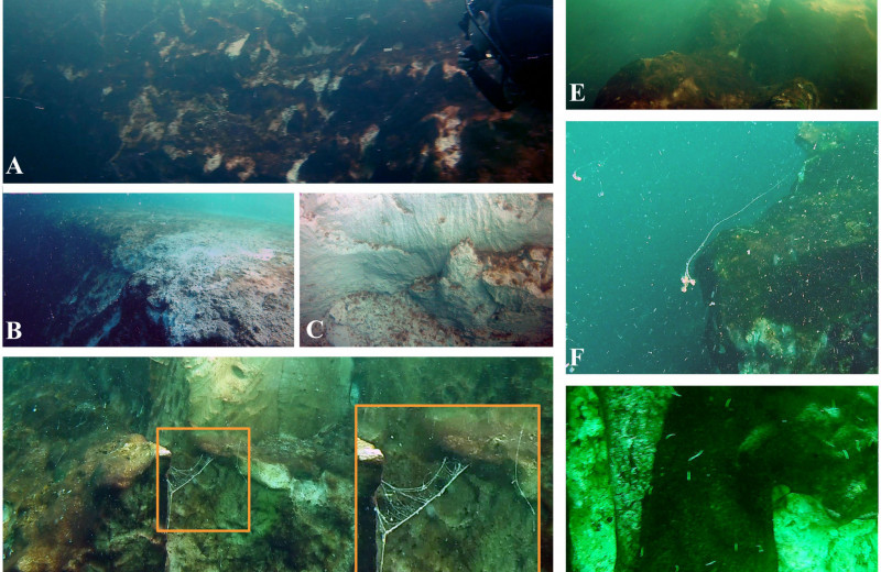 Другая вода и почти нет кислорода: чем манит ученых «голубая дыра» глубиной 274 м на дне океана?