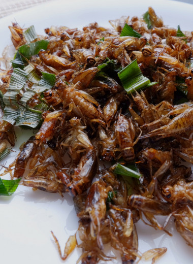 Саранча на обед, долгоносики на ужин: где, как и зачем готовят и едят насекомых