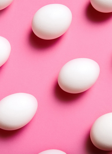 Яйцеклетка — что нужно знать?