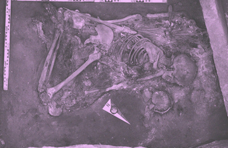 Археологи раскопали погребение знатной женщины с ребенком в скифской «Долине царей»