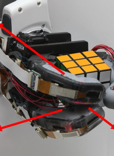 Роборука может идентифицировать объект одним прикосновением