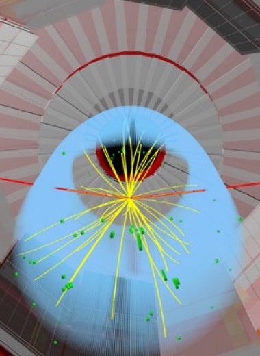 На Большом адронном коллайдере увидели редкий распад бозона Хиггса на два мюона
