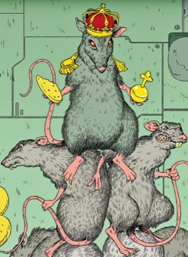 9 экспериментов над крысами, которые помогли понять много нового про людей