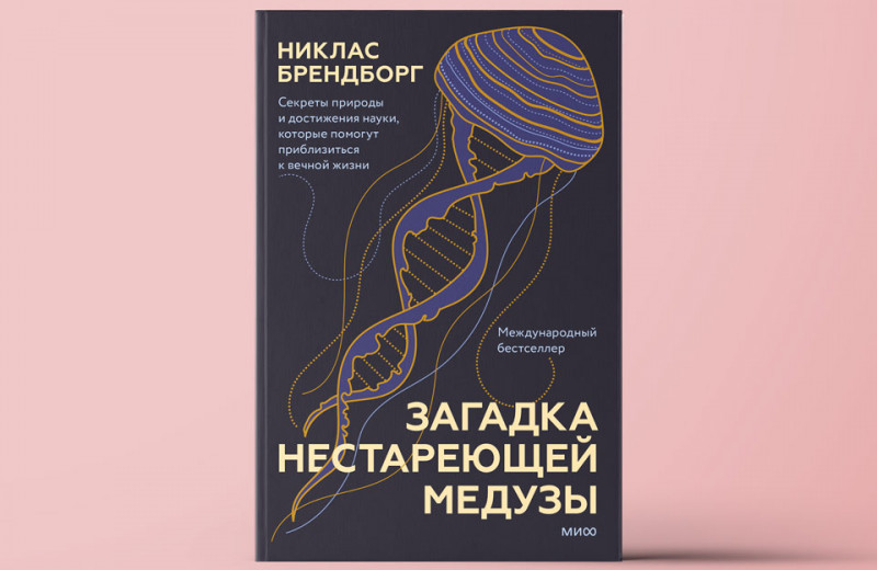 «Загадка нестареющей медузы»: Как наука замедляет старение. Секреты природы и достижения науки, которые помогут приблизиться к вечной жизни