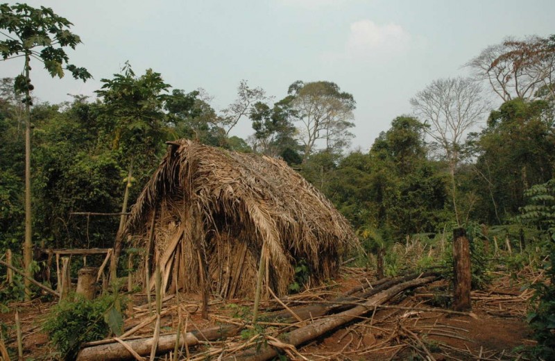 Последний представитель неизвестного племени Амазонии: впервые на видео