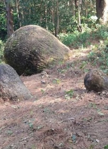 Ученые продолжают находить в лесах Индии загадочные кувшины, погребенные под землей - их природа остается тайной