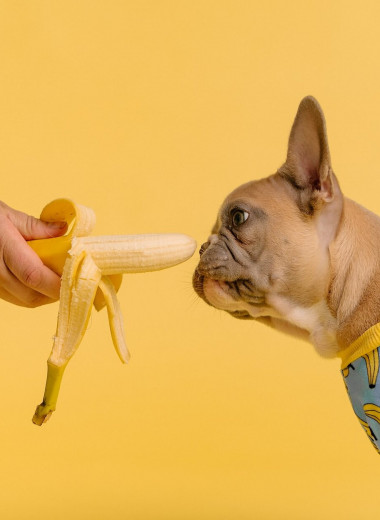Сколько можно съесть бананов за день, чтобы не испортить фигуру? Стоит узнать!