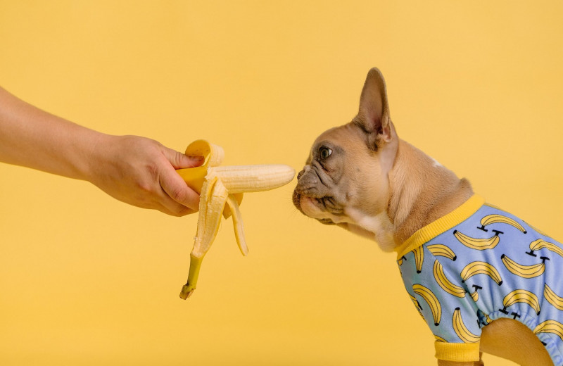 Сколько можно съесть бананов за день, чтобы не испортить фигуру? Стоит узнать!