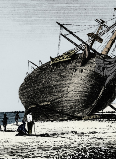 Выживает слабый: как Чарлз Дарвин опровергал свою же теорию