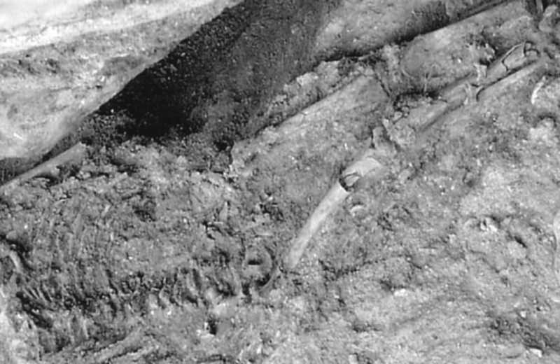 Археологи уточнили возраст палеолитического погребения из памятника Лагар-Велью