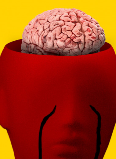 Мозг нужен не для мышления: 5 неожиданных фактов от профессора Гарварда